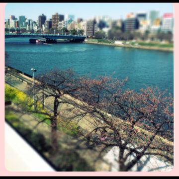 春に色づく♪(´ε｀ )   〜代官山の美容院BEKKUのブログ〜