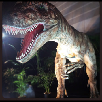 ダイノワールド2015 ヨコハマ恐竜博っ！  ～代官山の美容院BEKKUのブログ～