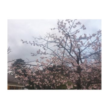 休みの湘南散歩〜代官山の美容院BEKKUのブログ〜