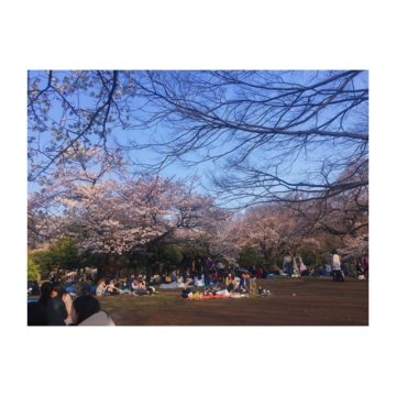 今年のお花見♪♪〜代官山の美容院BEKKUのブログ〜