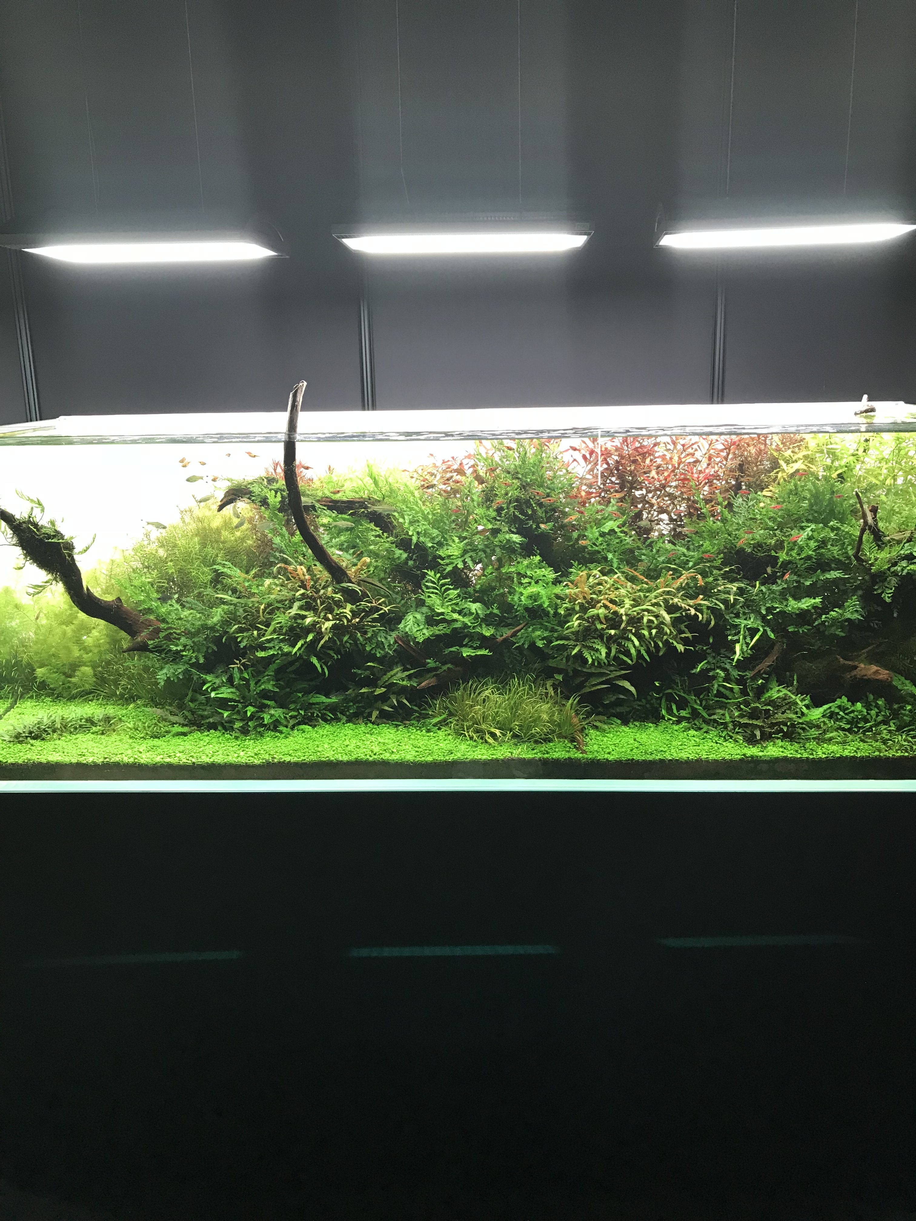 Aquarium 展 代官山の美容院bekkuのブログ 公式 恵比寿の美容室bekku Hair Salon