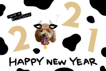 【2021年】新年のご挨拶〜ASUKA ver〜